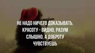 Афоризмы,цитаты, пословицы. Часть 3