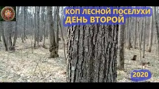 КОП В ЛЕСУ. НЕБИТАЯ ПОСЕЛУХА ДЕНЬ 2.