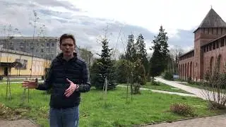Закладка №7 Смоленск. Опаленный цветок. Олег Завьялов