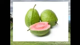 matunda