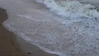Panasonic Lumix G90 video footage (1080p)
