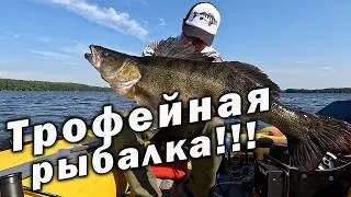 ТРОФЕЙНАЯ РЫБАЛКА В ДЕСНОГОРСКЕ!!! МОНСТРЫ ЗА 20 КГ!!!
