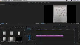 Creating a Movie from Still Images In Adobe Premiere Pro CC