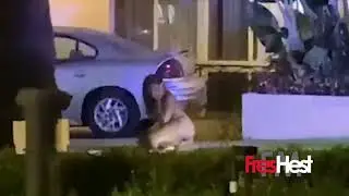 Megan Thee Stallion Got Shot Twice!!
