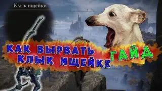Как победить ищейку и получить клык ищейки на старте в Elden Ring. Гайд для класса Бродяга