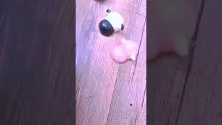 Kawaii squishy unboxing with Candy
