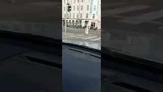 Кольорова "зебра"
