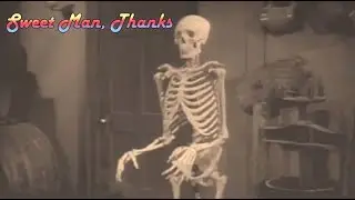Skeletons