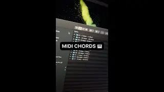 Get Creative With Our Exclusive MIDI Chord Pack.🔥