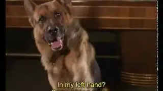 Rex and Böck 2