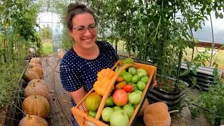 Taking Out Tomatoes & Breeding Rabbits! | Farm & Garden Fall Prep VLOG