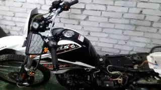 Стелс эндуро 250