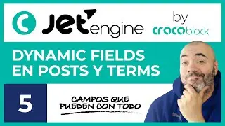 Mostrar CAMPOS o DYNAMIC FIELDS en POSTS y TERMS - CURSO de JET ENGINE #5 - Tutorial en Español
