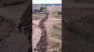 A video of Ukrainian soldiers training in eastern Ukraine 8 months before the Russian invasion..