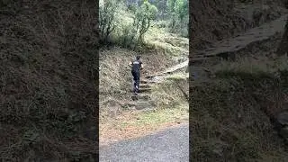 Tarzan Anmol Fitness 🔱 in Kasauli ❤️ #kasauli #mountains #love #travel #forest #wildlife #love