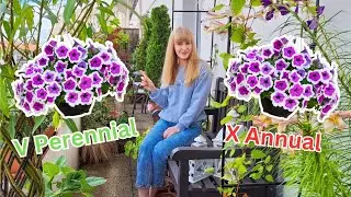 Plant Types & Hardiness Zones Explained - Gardening For Beginners