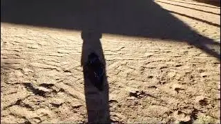 Popeye2 Video3 #rescuedog #tierschutz #hund