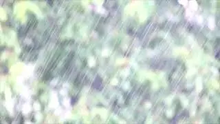 RAIN VIDEO FOOTAGE FREE - RAIN STOCK FOOTAGE | FREE HD VIDEO - NO COPYRIGHT 42