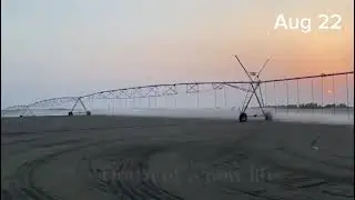 ہاولپور  میں  اس  زمیندار نے  کمال  کر  دیا  ضرور  دیکھیں