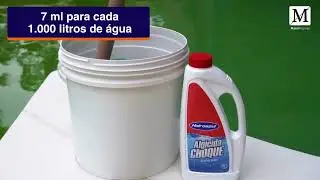 piscina agua verde como resolver algicida de choque hidroazul