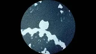 Linear State - Tree Tone
