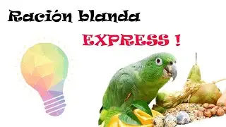 Racion blanda - Express (Aviario Diario)