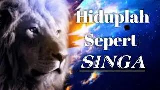 Kata Kata Bijak Terbaru Hiduplah Seperti Singa