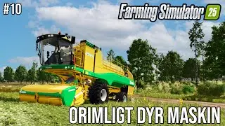 #10 | Ärtmaskinen förstör mina planer | Farming simulator 2025