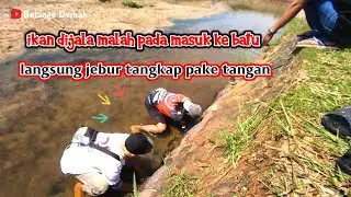 momen paling seru saat menjala ikan di sarawak