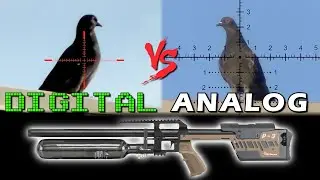 Digital vs. Analogue Scope | RTI P-3 Destroying Pigeons | NV400 vs. VO Continental