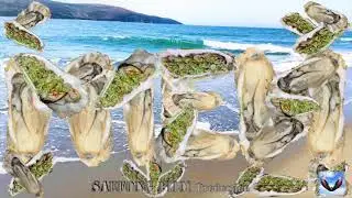 Please Don't Forget to Enjoy This Song When You Drinking.  Alaska Iu Mienh Mbungh Mbaaih Nzung Oc.