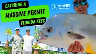 Catch and Release Permit - Florida Keys Mangrove Restoration (Florida Keys ecotour)