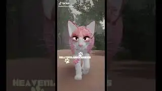 Small WCUE cc tiktoks!|🎇