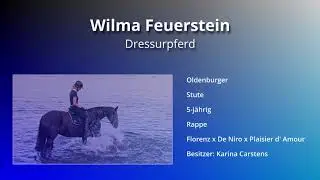 Wilma Feuerstein