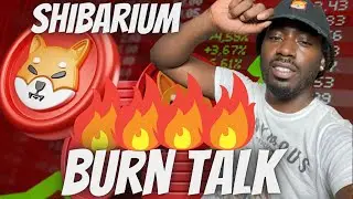 Shibarium Burn Rate Needs To Be Increased Calculations & What We Need To Do