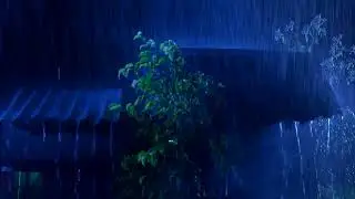 Sleep Instantly Within 3 Minutes ★︎ Insomnia Healing ★︎ Stress Relief Music - Deep Sleep Music