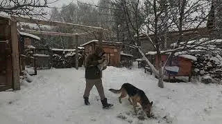 226 ДЕЛАЮ РЕМОНТ В СТАРОМ ДЕРЕВЕНСКОМ ДОМЕ ОКОЛО Леса ОДИН