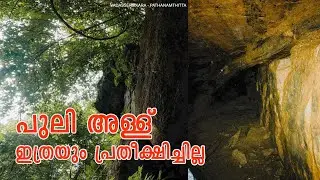 വടശ്ശേരിക്കരയിലെ പുലിഅള്ള് 😮😮 | Vadasserikkara Pathanamthitta