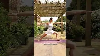 Warrior 2 Alignment and Modifications