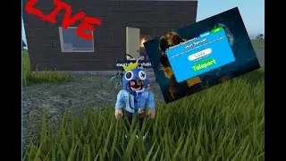 SANDBOX MODE TTD LIVE AND ENDLESS
