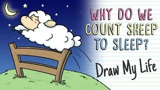 WHY DO WE COUNT SHEEP TO SLEEP? | Draw My Life