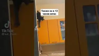 мем 