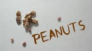 Polymer Clay Peanuts Tutorial -EASY- (Miniature Mondays)