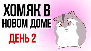 Что случилось с хомяком на второй день после переезда?