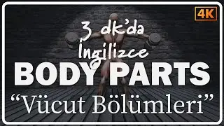 Body Parts I Vücut Bölümleri