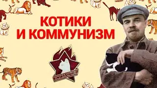 Котики и коммунизм