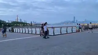 Shenzhen Hongkong Bay Bridge ll 深圳灣公路大橋