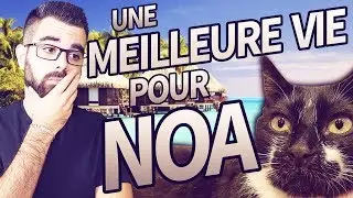 UNE MEILLEURE VIE POUR NOA - SAUVEZ NOTRE CHAT