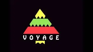 The Voyagers ft Andre Jakai - Hoes Like Flava