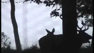 Bedankt Gelderslandschap!